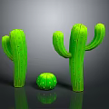 Three Green Cactus Plants With Columnar And Round Shapes On Gray Background