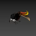 Colorful Hornbill Bird With Yellow Orange Beak And Black White Body On Dark Green Background