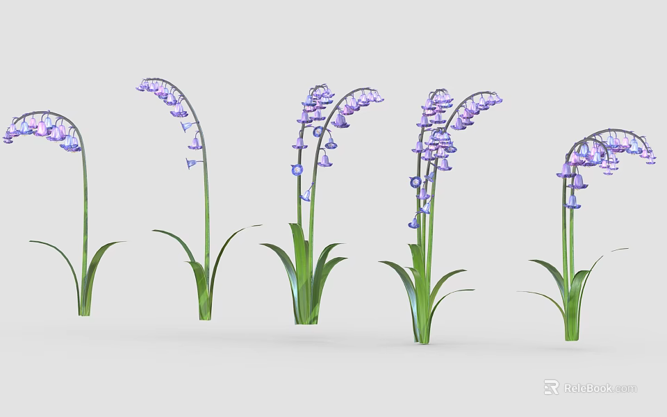 Purple Bluebells Multiple Plants With Green Leaves Slender Stems And Drooping Flowers 3d model 