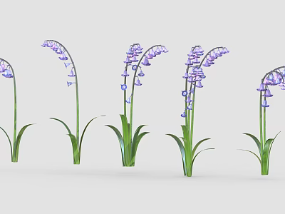 Purple Bluebells Multiple Plants With Green Leaves Slender Stems And Drooping Flowers 3d model
