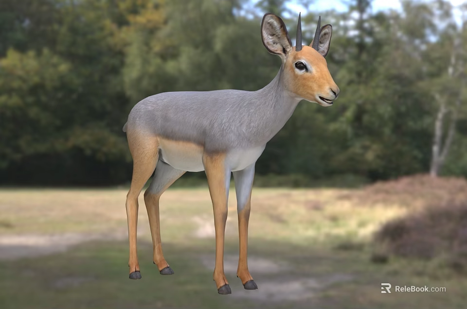 A Graceful Antelope In The Natural Forest And Grassland Habitat 3d model 