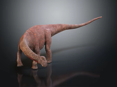 Realistic Brown Dinosaur Model With Long Neck And Tail Standing On Black Background With Reflection 3d model