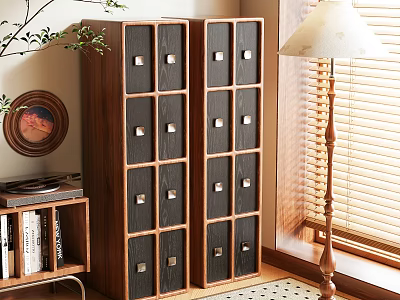 Dark Wood Storage Cabinet With Multiple Compartments In Cozy Room With Plant And Window 3d model