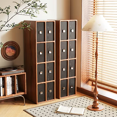Dark Wood Storage Cabinet With Multiple Compartments In Cozy Room With Plant And Window 3d model