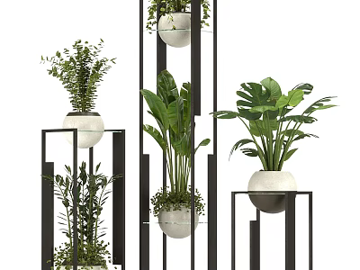 Bonsai Potted Plants Display With Black Metal Stands White Pots And Various Green Foliage 3d model