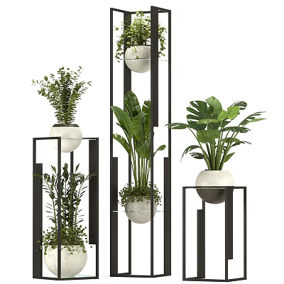 Bonsai Potted Plants Display With Black Metal Stands White Pots And Various Green Foliage 3d model