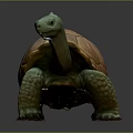 Green Turtle With Brown Carapace 3D Sculpture Figure Standing On Dark Surface
