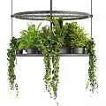 Multi Tiered Hanging Rack with Lush Green Potted Plants for Indoor Decor