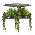 Bonsai Bonsai Panel Indoor Plants Metal Hanging Flower Pot 3d model