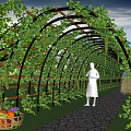 Garden Pergola With Arch Structure Covered In Green Vines Stone Path And Fresh Vegetables