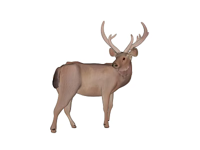Brown Reptile With Big Horns Standing In Natural Pose 3d model