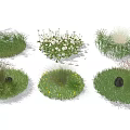 Various Ground Cover Plants For Garden Landscaping Including Grasses And Small White Flowers