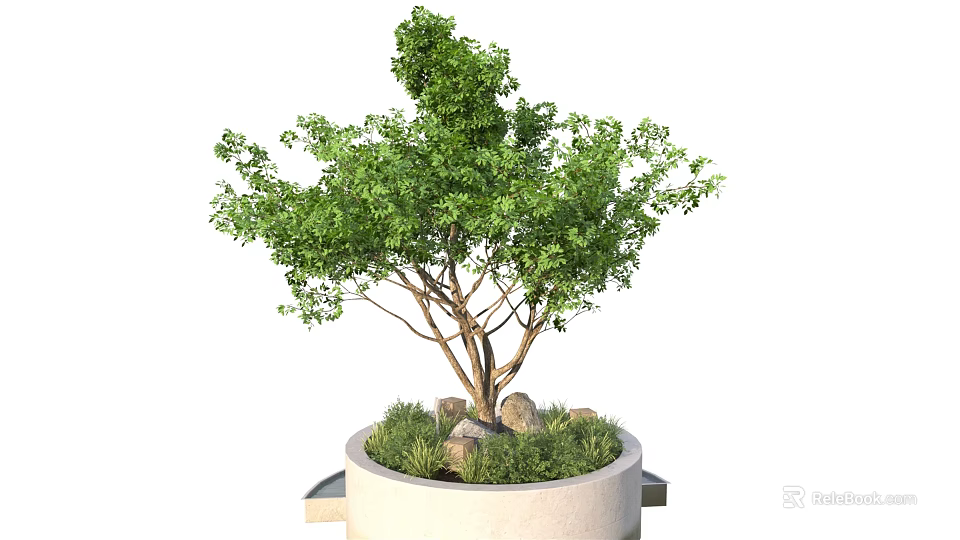 Potted Arbor With Lush Green Foliage In White Container With Stones And Grass 3d model 