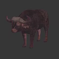 Realistic African Buffalo 3D Model With Large Horns And Shiny Floor