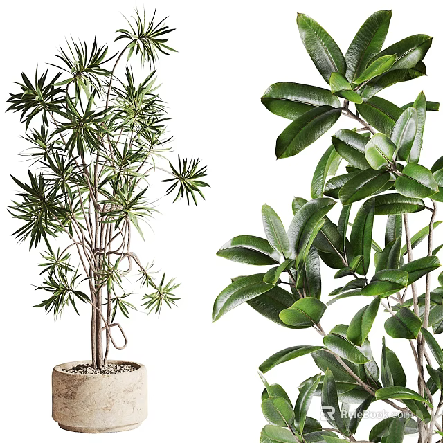Indoor Decorative Potted Plants With Various Green Leaf Types And Stylish Pots 3d model 