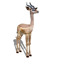 Deer 3d model