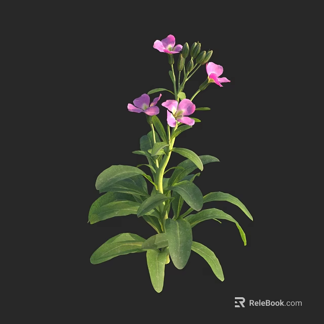 Vibrant Pink Flowers with Lush Green Leaves on a Single Fresh Growing Plant 3d model 