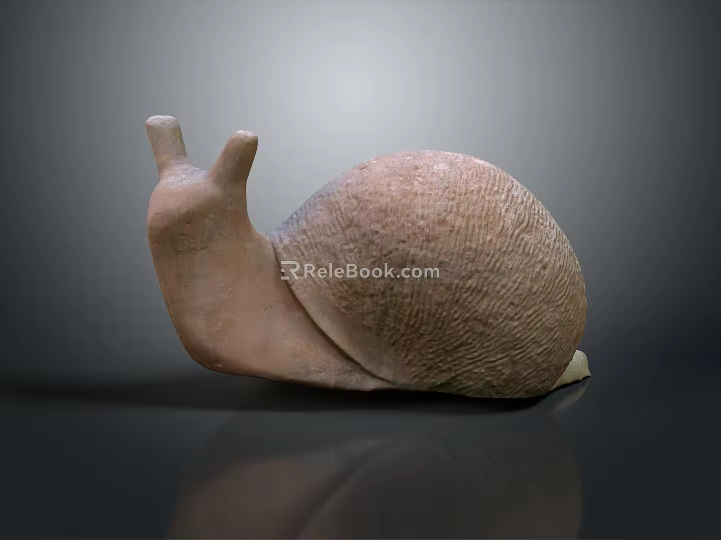 Snail Cartoon Snail Small Snail Reptile Cold Blooded Animal Reptile 3d model