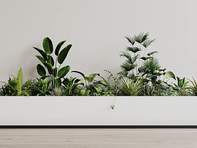 Various Green Potted Bonsai Plants In White Planter For Indoor Decoration 3d model