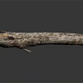 Rustic Wooden Stone Log With Natural Textured Surface And Smooth Dark Background Reflection