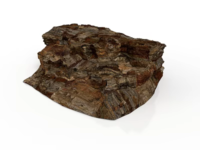 Natural Style Root Root Wooden Structure Laminated Texture Bark Texture Natural Form Organic Form Root Structure Root Fossil Ancient Wooden Remains 3d model