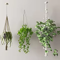 Lush Green Hanging Planters With Macramé And Various Hanging Styles For Indoor Decor