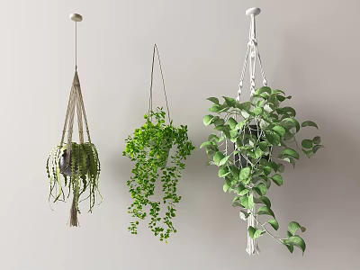 Lush Green Hanging Planters With Macramé And Various Hanging Styles For Indoor Decor 3d model