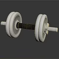 Stainless Steel Dumbbell With Weight Plates And Non Slip Grip For Fitness Training