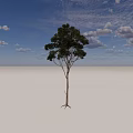Tall Tree with Lush Green Leaves against Clear Blue Sky in Grassland with Surrounding Trees