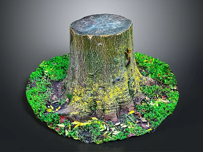 Tree Stump Surrounded By Green Moss Small Plants And Natural Ground Elements 3d model