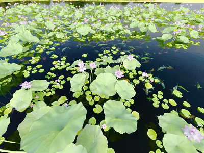 Hinged Patio Doors With Serene Lotus Pond View And Green Lily Pads 3d model