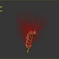 Orange Wheat Ear as Natural Food Ingredient on Gray Background