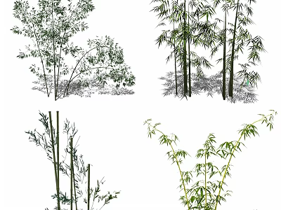 Varieties Of Bamboo Plants In Different Growth Forms 3d model