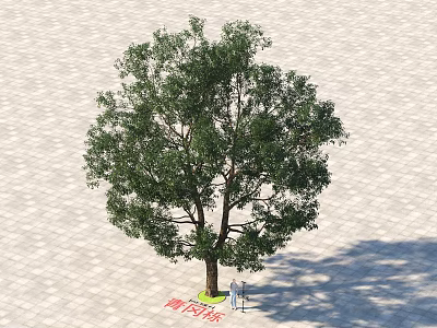 Lush Arbor Growing On Stone Pavement With Bench And No Parking Sign 3d model