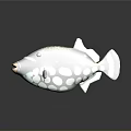 Colorful Tropical Fish With Black Body Yellow Spots Green Stripes Blue Fins And White Dots Patterns