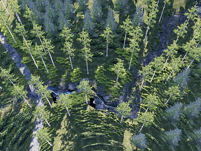 Scenic Park Landscape With Tall Pine Trees Flowing Stream And Green Grass 3d model