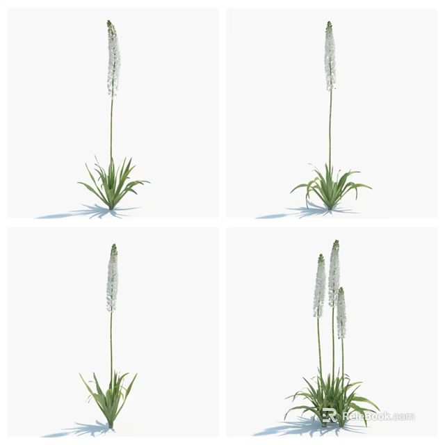 White Spike Flowers With Green Leaves In Various Arrangements For Vase Decoration 3d model 