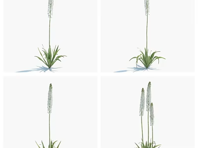 White Spike Flowers With Green Leaves In Various Arrangements For Vase Decoration 3d model