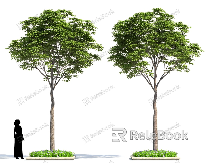 Tree Pond Street Trees High Pole Landscape Trees Garden Green Planting model