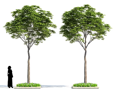 Two Arbors With Tall Trunks Lush Green Foliage And Surrounding Plants Near Human Silhouette 3d model