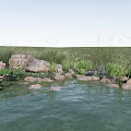 Tranquil Rock and Wood Garden Pond with Lotus Leaves and Tall Grass