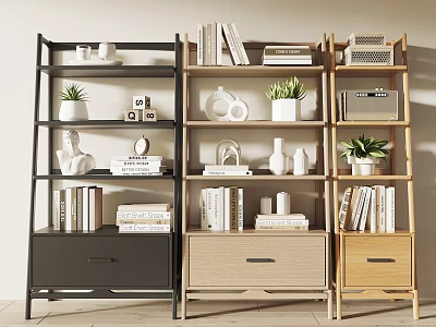 Modern Multipurpose Shelving Units with Storage Drawers Books Decor and Potted Plants 3d model