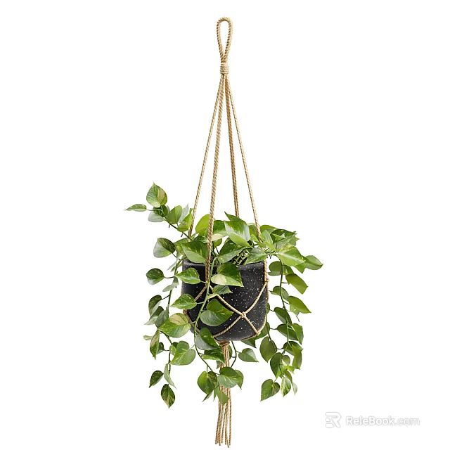 Hanging Green Plant In Black Pot With Jute Rope And Lush Leaves 3d model 