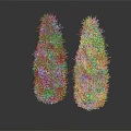 Two Conical Dark Green and Bright Green Plants on Dark Reflective Background Surface