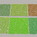 Various Colored Grass Turf Samples For Landscaping And Garden Design