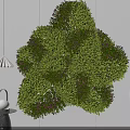 Lush Green Shrubs In Garden Landscape With Vibrant Foliage And Dense Growth