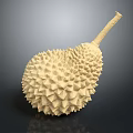 Fresh Durian Fruit With Spiky Yellow Skin And Long Stem