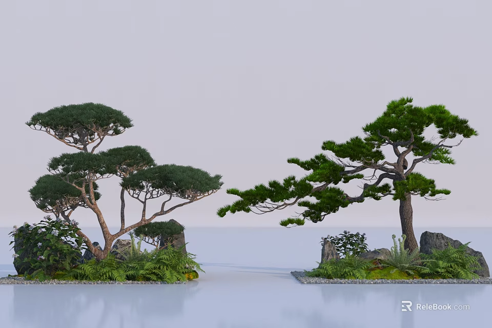 Graceful Pine Trees With Rocks And Greenery By Calm Water Surface 3d model