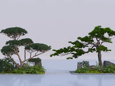 Graceful Pine Trees With Rocks And Greenery By Calm Water Surface 3d model