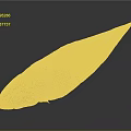 Fresh Whole Brown Fish With Shiny Surface On Black Background